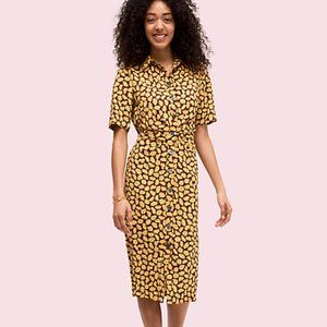 Kate Spade Sunny Bloom Shirt Dress